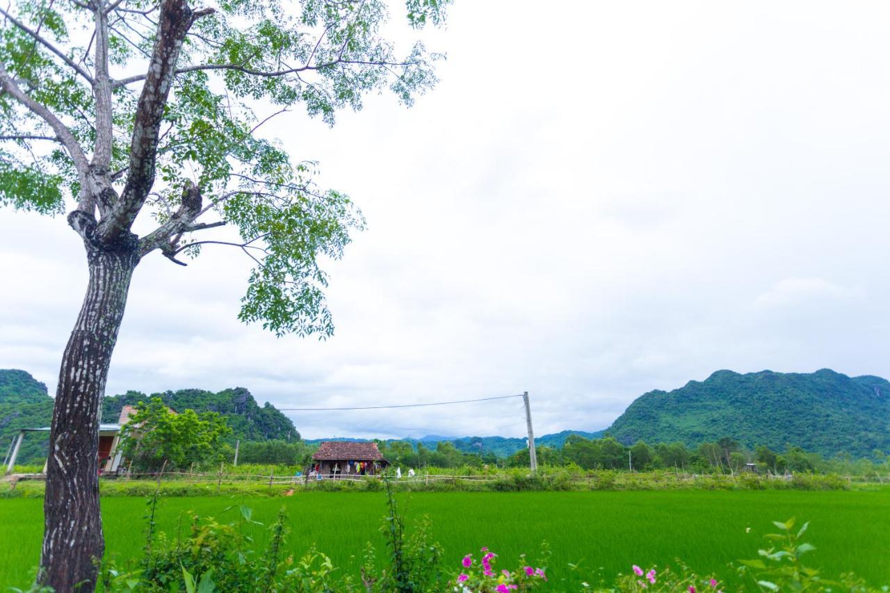 Pomelo Homestay Phong Nha Esterno foto