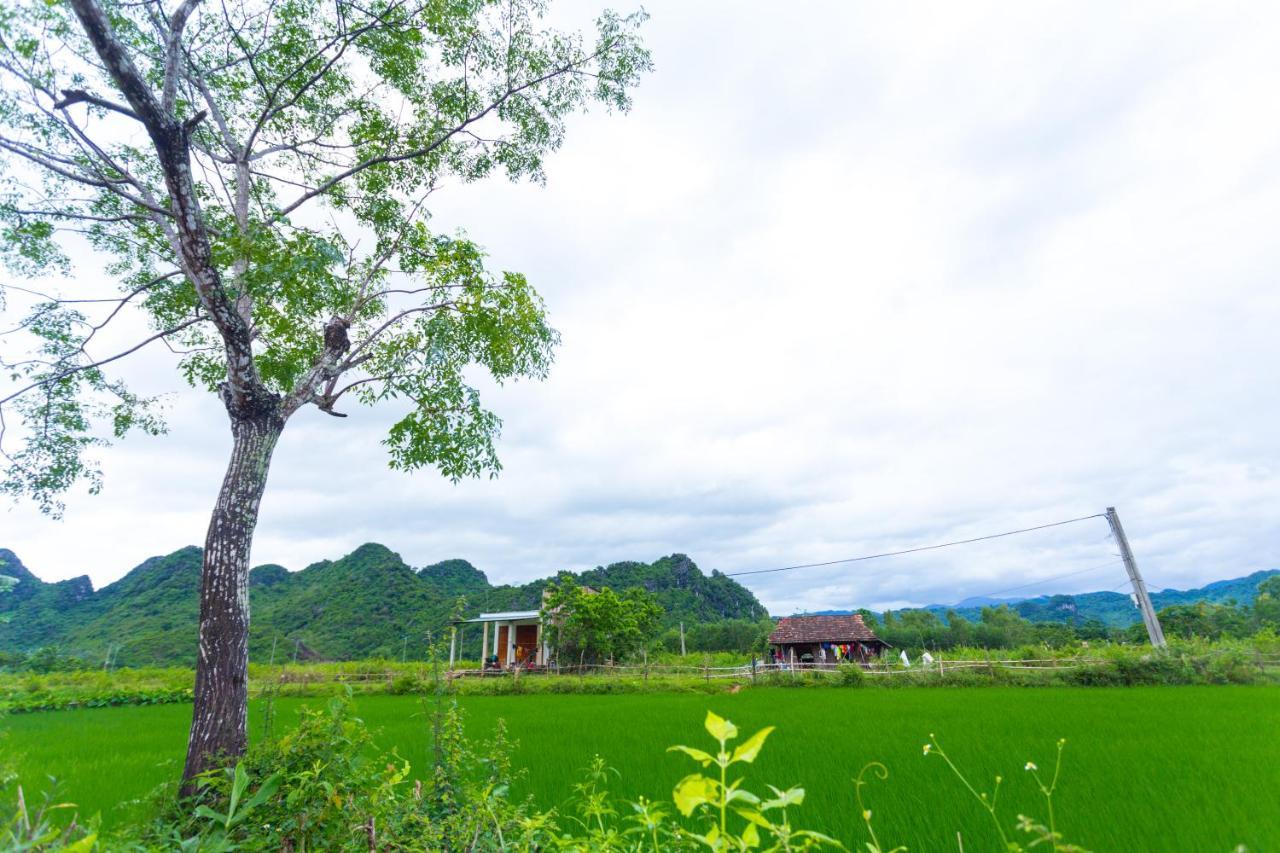 Pomelo Homestay Phong Nha Esterno foto