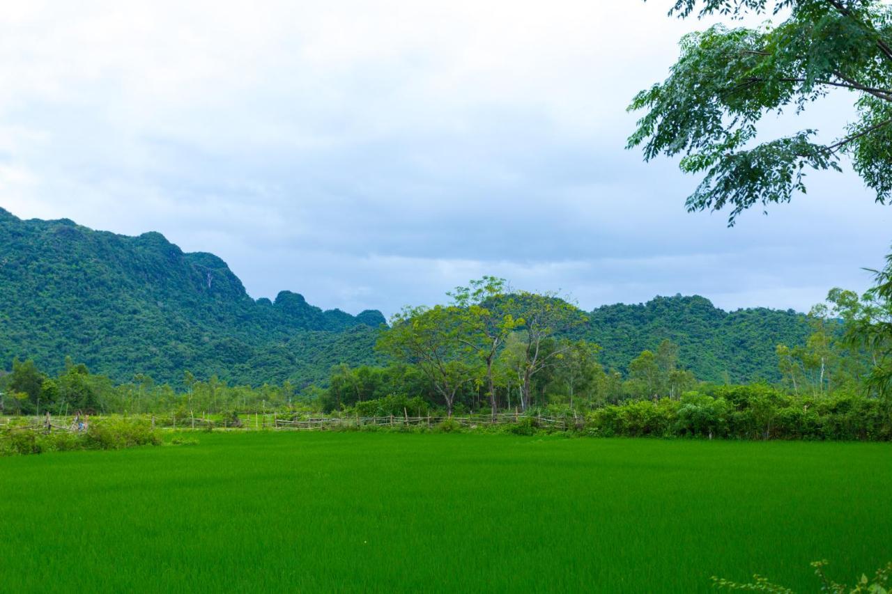 Pomelo Homestay Phong Nha Esterno foto