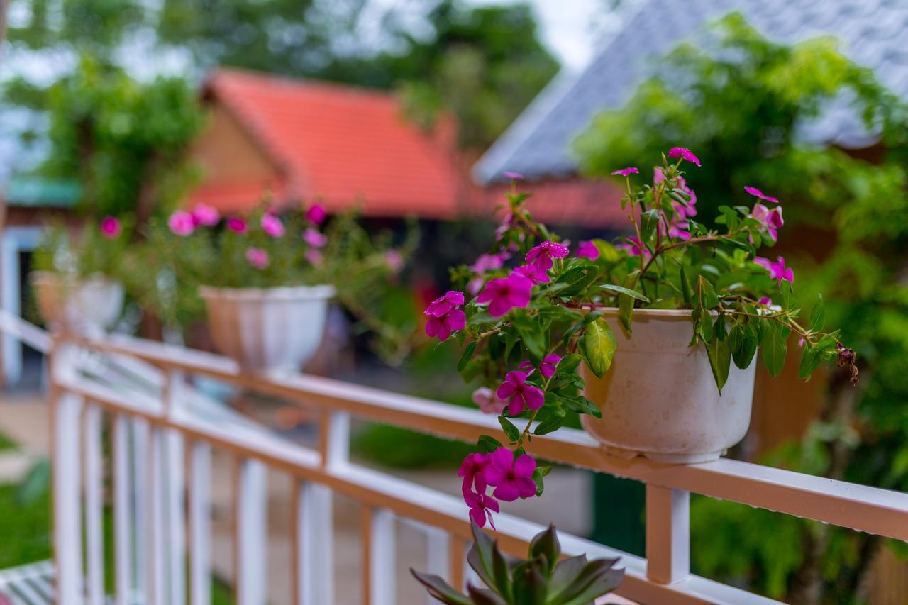 Pomelo Homestay Phong Nha Esterno foto