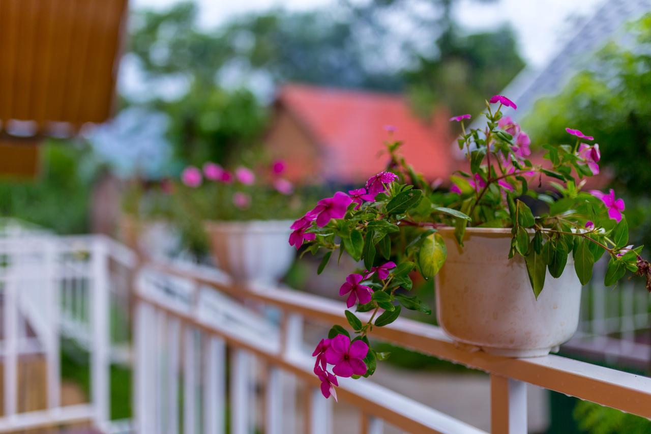 Pomelo Homestay Phong Nha Esterno foto