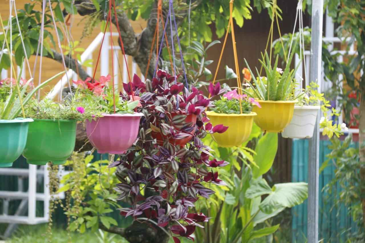 Pomelo Homestay Phong Nha Esterno foto