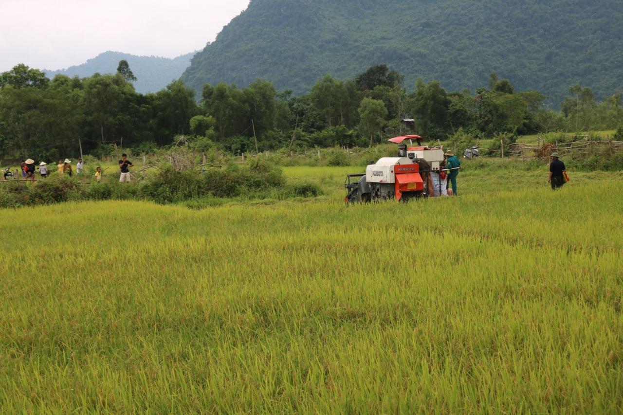 Pomelo Homestay Phong Nha Esterno foto